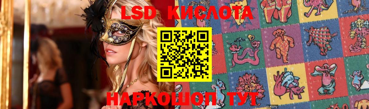 ссылка на мегу tor  Лсд 25 экстази ecstasy  Вход с VPN  ЛСД экстази ecstasy  Новокубанск 